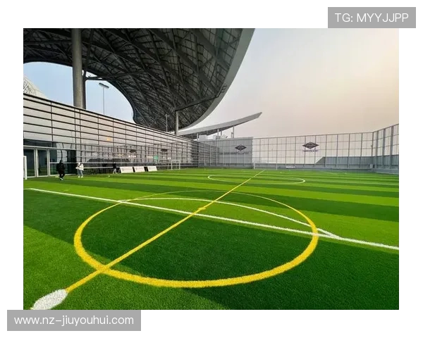 足球场与篮球场融合的运动空间设计探索与创新思维